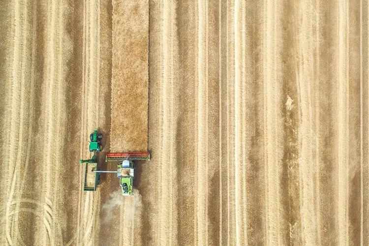Maersk Investing in new solutions to fight food loss 1 Investing in new solutions to fight food loss