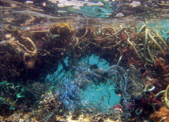 What is the Great Pacific Garbage Patch? Great Pacific Garbage Patch Facts 2 What is the Great Pacific Garbage Patch?