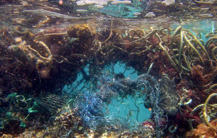 What is the Great Pacific Garbage Patch? Great Pacific Garbage Patch Facts 1 What is the Great Pacific Garbage Patch?