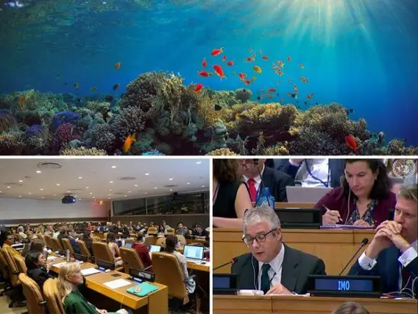 IMO Takes Steps Towards Protecting Oceans And The High Seas