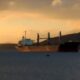 SwissMarine Hires One of Diana Shipping’s Capesize Vessels 14