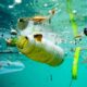 European Commission Welcomes Ambitious Agreement On New Rules To Reduce Marine Litter 8