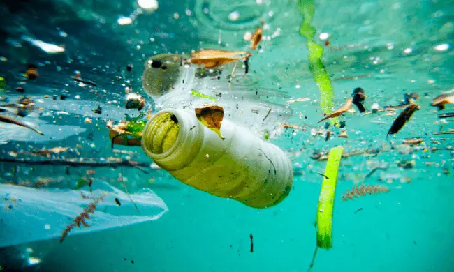 European Commission Welcomes Ambitious Agreement On New Rules To Reduce Marine Litter 1 European Commission Welcomes Ambitious Agreement On New Rules To Reduce Marine Litter 1