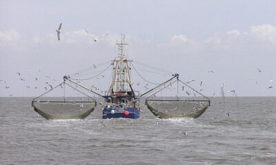 Oceana Investigation Keeps One Of The World’s Largest Fish Factory Vessels On Illegal Fishing List 5