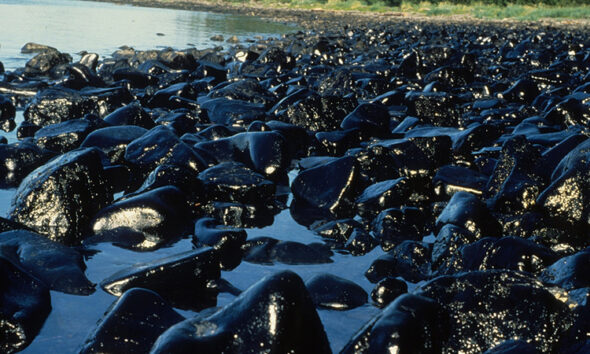 Exxon Valdez Oil Spill