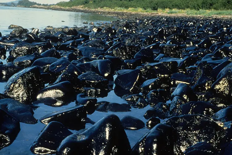 The Exxon Valdez Oil Spill Incident