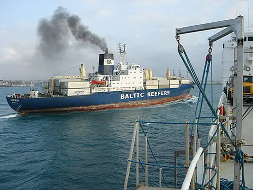 What Are Cargo Ships? 5 Reefers