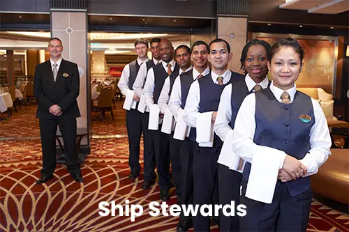 Top Marine Careers - Sea Jobs On Ships 21 Ship Stewards