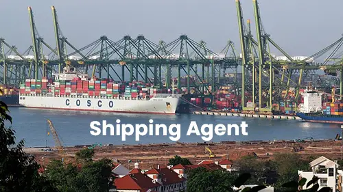  Shipping Agent