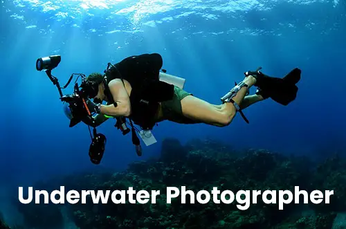 Top Marine Careers - Sea Jobs On Ships 13 Underwater Photographer
