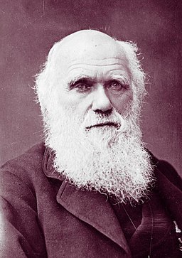 Who Is A Marine Biologist? 3 Charles Darwin