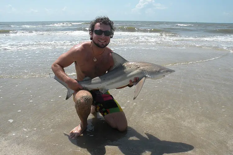 Marine Biologist