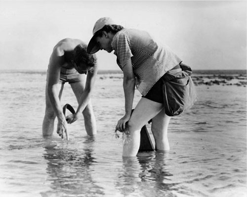11 High Paying Marine Careers 3 Marine Biology