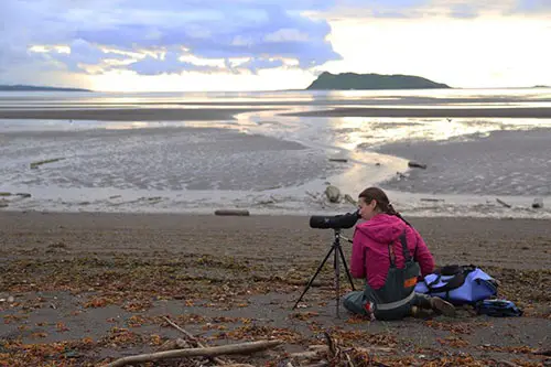 Marine Researcher