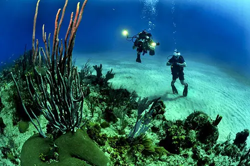 11 High Paying Marine Careers 9 Underwater Videography and Photography