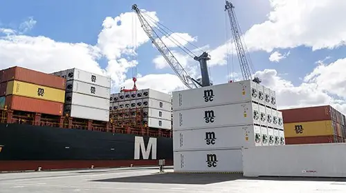 MSC Katya R. Improves Trade Links With Costa Rican And Boosts Export Links To Europe