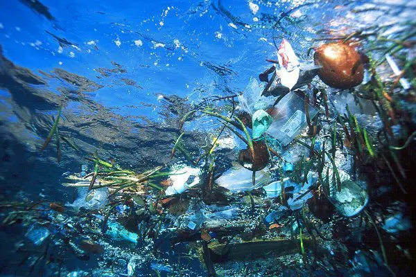 MOL Announces To Cooperate In JAMSTEC's Marine Plastic Pollution Survey