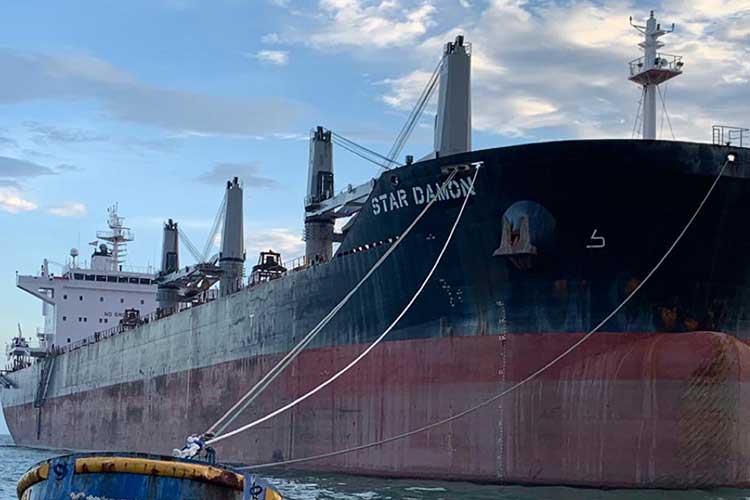 GriegMaas Welcomes New Supramax - The Star Damon 1 GriegMaas Welcomes New Supramax - The Star Damon