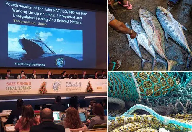IMO Joining Forces To Combat Illegal, Unreported And Unregulated Fishing 1 IMO Joining Forces To Combat Illegal, Unreported And Unregulated Fishing 1