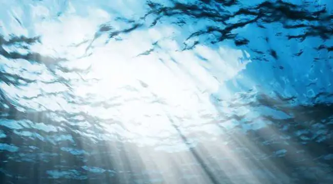 DNV GL Strengthens Ocean Space Research Activities With Extra Resources 1 DNV GL Strengthens Ocean Space Research Activities With Extra Resources 1