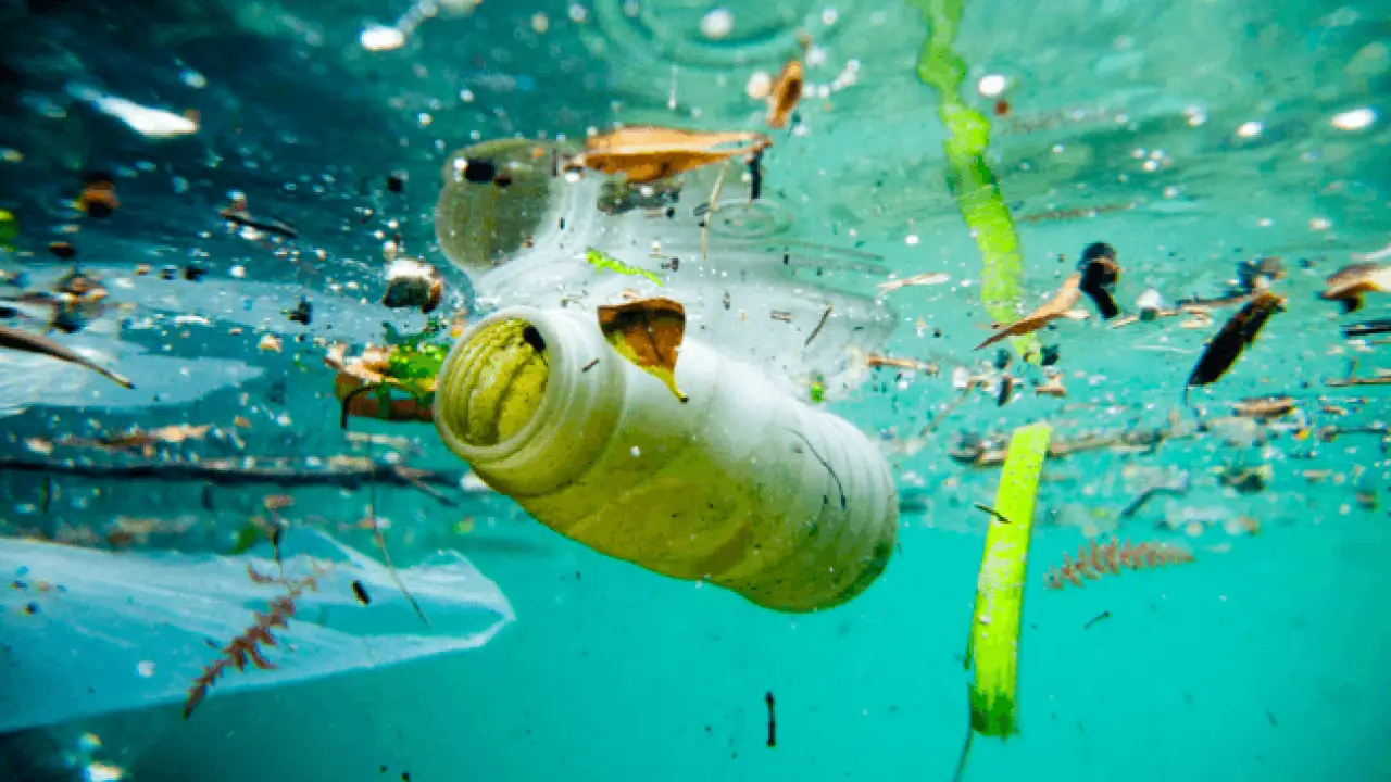 Clean Oceans Initiative Reaches A Third Of Its 5-Year-Target In The First Year Itself 1 Clean Oceans Initiative Reaches A Third Of Its 5-Year-Target In The First Year Itself
