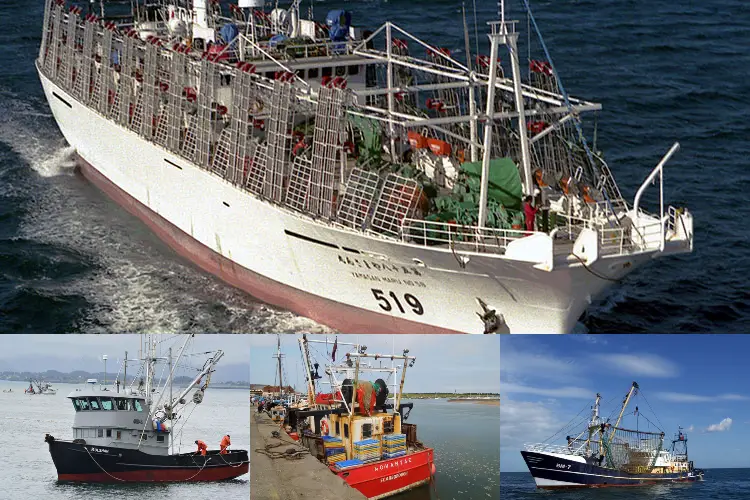Types Of Fishing Vessels