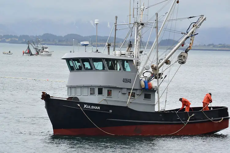 Types Of Fishing Vessels 5 Seiners